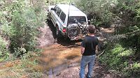 14-Making sure Zebra is recovered successfully from a muddy creek crossing